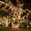 Holidays_Holiday