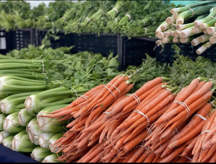 Farmers Market