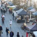 Foragers Market