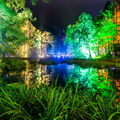 FREE-TO-USE-CREDIT-ANGUS-FORBES-PHOTOGRAPHY