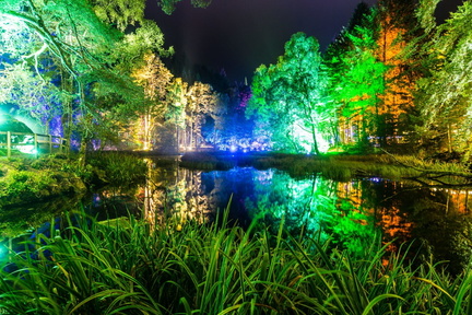FREE-TO-USE-CREDIT-ANGUS-FORBES-PHOTOGRAPHY