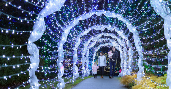 vandusen-festival-of-lights-facebook