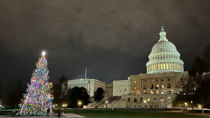 National Christmas Tree &amp; Holiday Lights Bus Tour