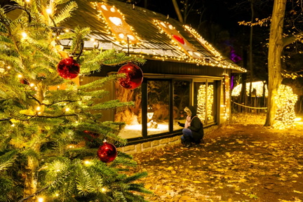 Weihnachten im Tierpar (1)