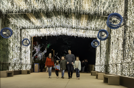 Christmas Celebration (1)