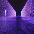 864633aa-5afb-41e8-9cde-caaa99f06695-full16x9_RY12ConeyIslandChristmaslights220_0559_frame_9425