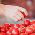 produce-03-2272989007