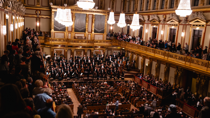 Tonkünstler Orchestra Lower Austria.png