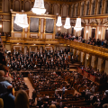 Tonkünstler Orchestra Lower Austria