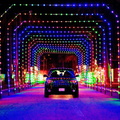 05_drivethroughlights_holidayinyourcar_5.-bb549467