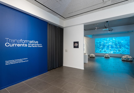 TRANSFORMATIVE CURRENTS ART AND ACTION IN THE PACIFIC OCEAN