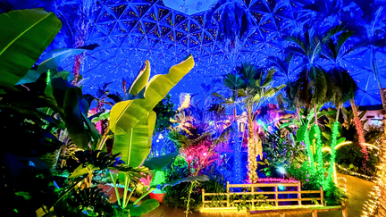 DomeHolidays