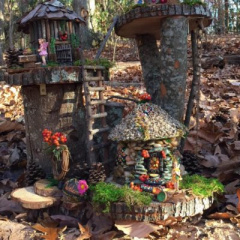 Enchanted Woodland Trail