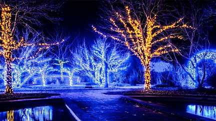 https:%2F%2Fcdn.evbuc.com%2Fimages%2F906331553%2F1420495638023%2F1%2Foriginal.20241125-220130