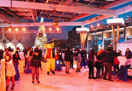 The Rink