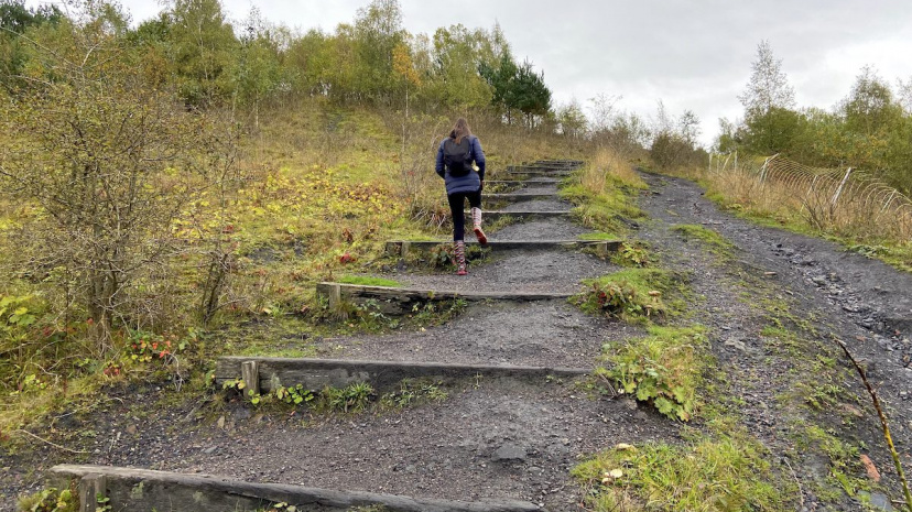 baggeridge-country-park-pit-mounds.jpg