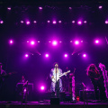 The Prince Experience