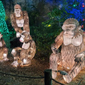 Zoo Lights