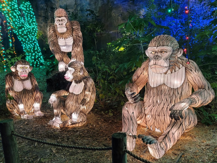 Zoo Lights