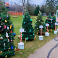image - 2024-12-12T204355.819
