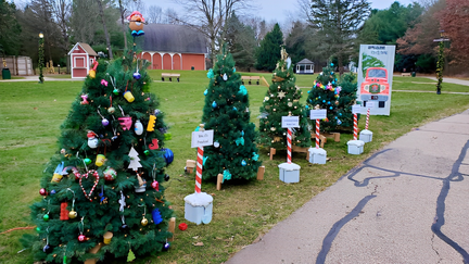 image - 2024-12-12T204355.819