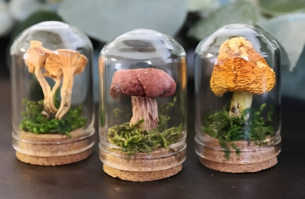 Oddities &amp; Curiosities Expo 2025 (1)