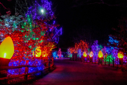 Holiday-Lights-2022-_2-1024x683