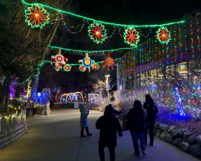 ZooLights
