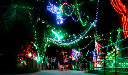 ZooLights (1)