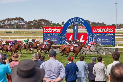Ladbrokes Super Saturday on the Coast