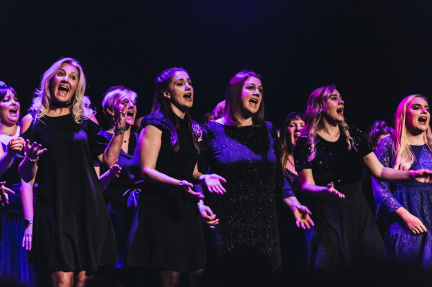 Sing the Musicals