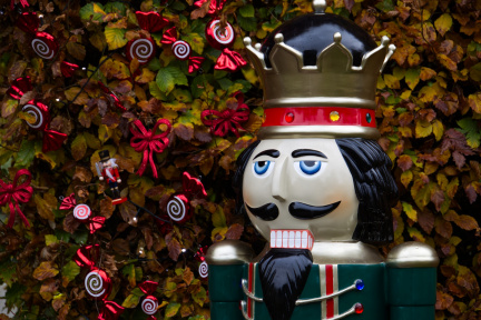 A Nutcracker