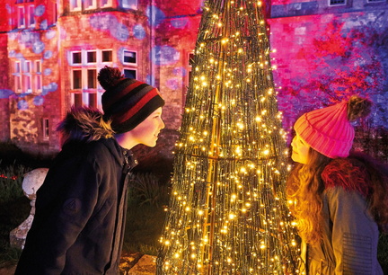 Festive Fun