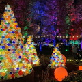 Conservatory-Aglow-at-Franklin-Park-Conservatory_54_990x660