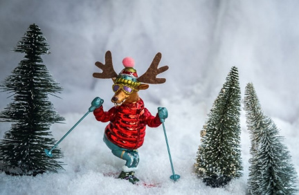 Final Week Festival of Art Holiday Show