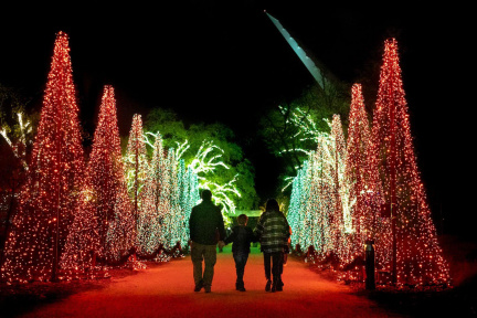 Glowing Gardens - Arboretum &amp; Botanical Gardens