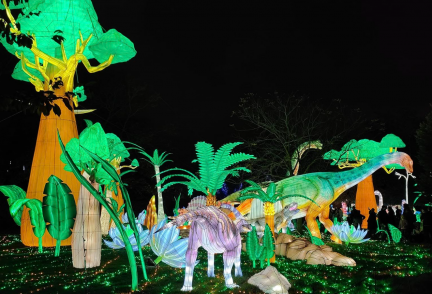 Wild Lights at Dublin Zoo