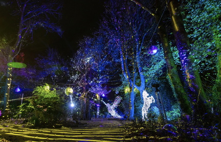 Wonderlights ....