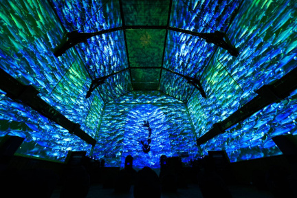 Pixel-Zoo-Ocean_DAIA-Geneva_highres_c-Jonathan-Imhof_3