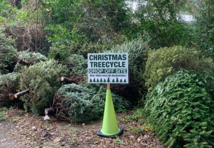 Annual Christmas Treecycling Program
