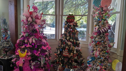 Festival of Trees