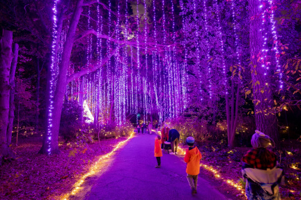Walk the Garden Aglow