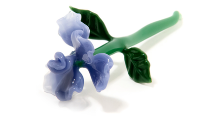 Colorful Botanicals