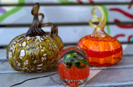 Colorful Botanicals