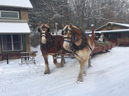 Ranch-Rudolf5_6C9A1BCF-C668-4A29-AE5276477BB2A397_7636fd28-0b98-4f0f-abbed0b454366543