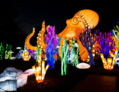 Lantern Festival - Loveland Living Planet Aquarium