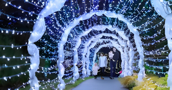 Final Week: VanDusen Festival of Lights