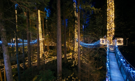 Canyon Lights