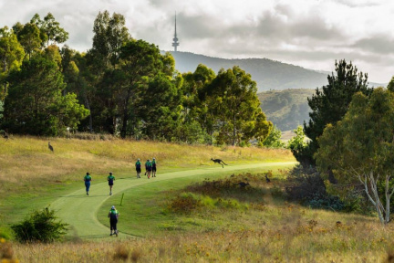 Uncoached run – Hackett