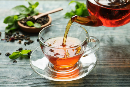 Winter Tea Foraging